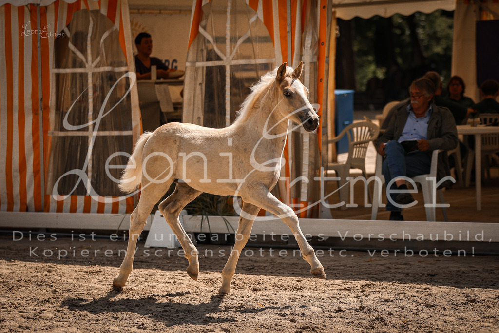 06.DoH00128 | Leoni Ertmer Photography - Realisiert mit Pictrs.com