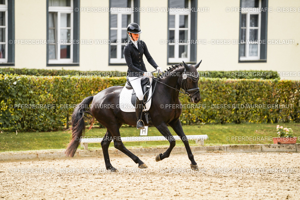 DSC02064 | Pferdegrafie