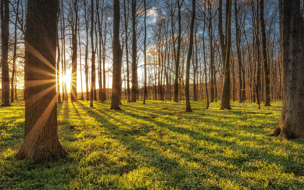 Natur-in-Bildern-by-stativkunst.de-005 | Exklusive Hamburg collagen, tolle Segelbilder und viele weitere tolle Motive auf Leinwand, Poster, Alu-Dibond, u.v.m. findet Ihr bei uns auf hamburgbild.de. Findet Euer Wandbild für Euer Zuhause, Büro oder die  Praxis…. - Realisiert mit Pictrs.com