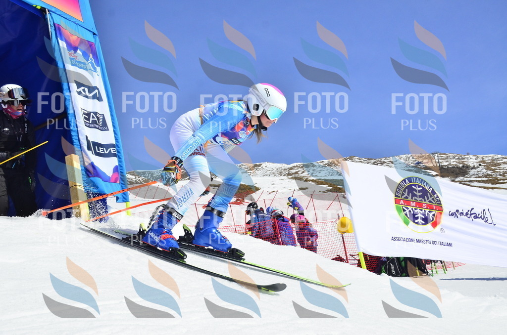 _ELE0139 | holidayphoto