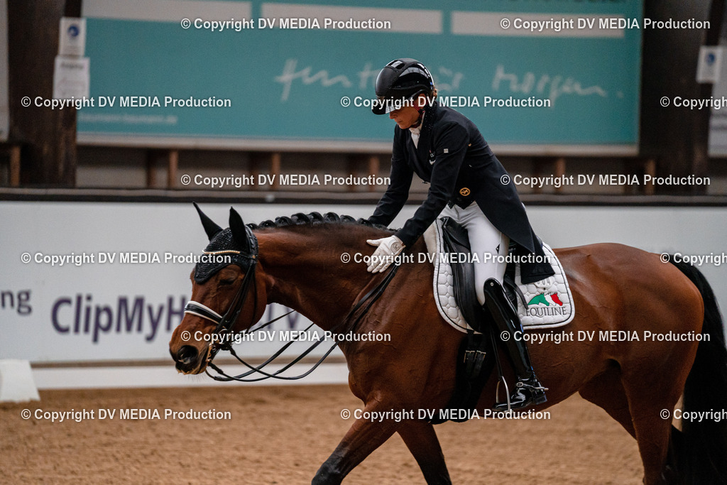 Kranichstein Tag 1-499 | dv-media-shop - Realisiert mit Pictrs.com