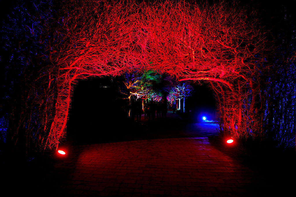 Parkleuchten_GrugaEssen24_31 | Bildergalerie von Sport-Ereignissen aber auch von weiteren spannenden Dingen - nicht nur vom Niederrhein. In Anlehnung an den bekannten Spruch von Hanns Dieter Hüsch heißt das Motto: "Niederrhein ist überall".  - Realisiert mit Pictrs.com