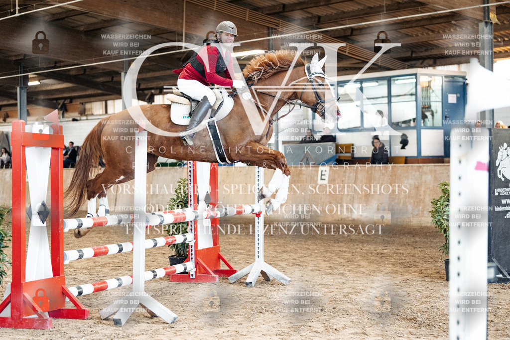 CK904992 | Turnierfotografie Pferdefotografie Trier Rheinland-Pfalz Pferdesport Reitsport Tierfotografie Sportfotografie Pferdevideo Pferdevideografie Equestrianvideography equestrianphotography  - Realized with Pictrs.com