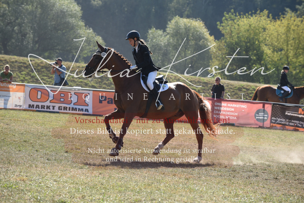 DSC_6041 | Pferde- und Turnierfotografie in Westsachsen. Pferdeportraits, Auftragszeichnungen und intuitive Kunst.