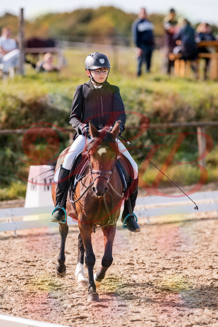 2026_10_03_Siefer-Hof_122316_Z81_23514492 | Professionelle Reitsport-, Turnier- und Eventfotografie von Robert Broda. Galerien mit ausgewählten und bearbeiteten Bildern direkt online ansehen und bestellen.