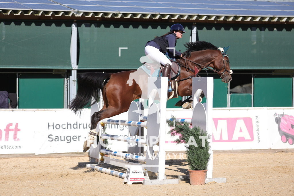 0P6A0816 | Willkommen bei Brunnmayr - Design & Fotografie – Ihrem Spezialisten für Reitturniere und Pferdeveranstaltungen in Oberösterreich, Salzburg und Bayern! Seit über 17 Jahren sind wir leidenschaftlich dabei.