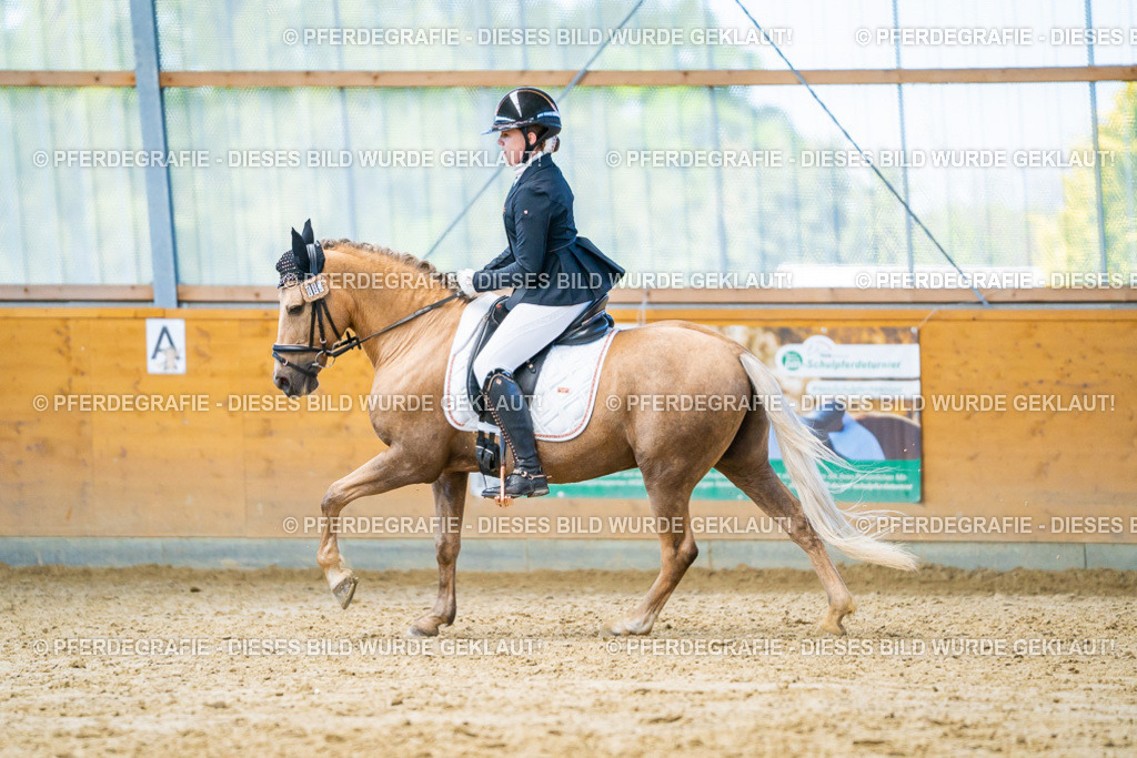 DSC07660 | Pferdegrafie