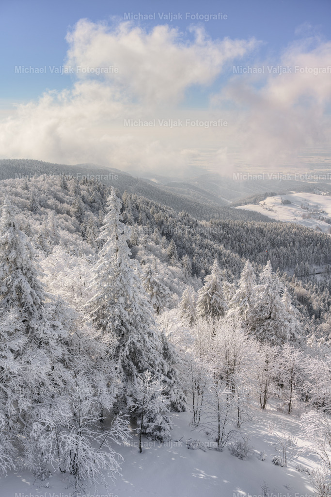 Winter im Schwarzwald | Blick vom Schauinsland über den frisch eingeschneiten Schwarzwald an einem schönen Winternachmittag. - Realisiert mit Pictrs.com
