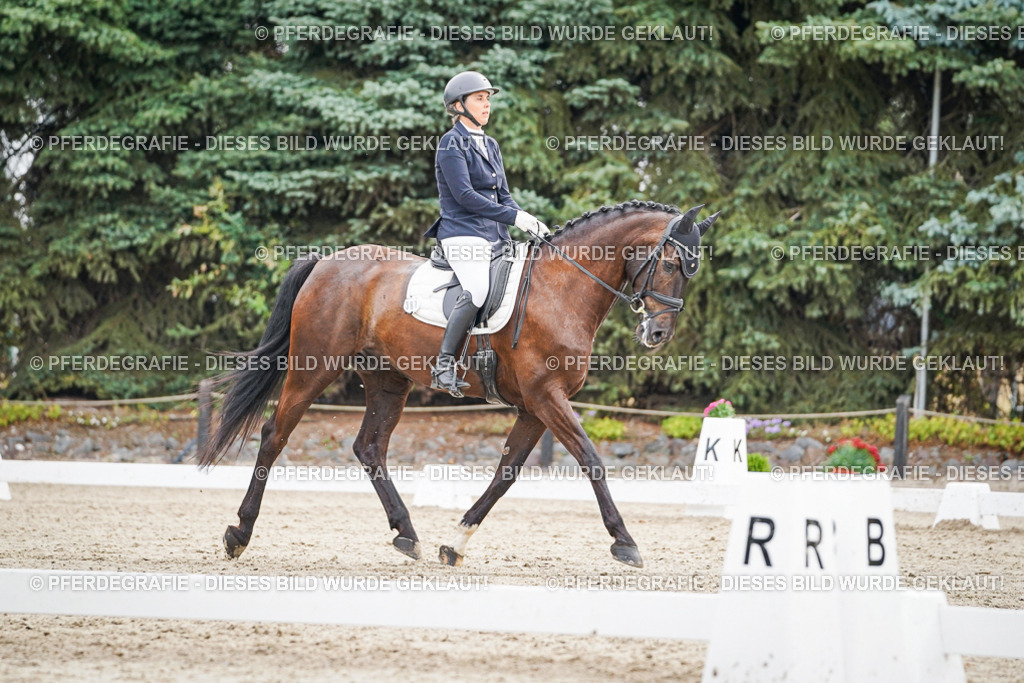 DSC00346 | Pferdegrafie