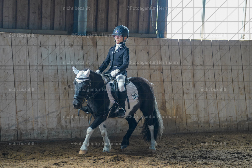 20230916-FAH08660 | Landsberg am Lech 2023, Turnierbildern, Turnierbilder Bayern, Reitsportfotograf, Pferdefotograf Bayern, Turnierfotos Landsberg, Fotoagentur Herrmann, Turnierfotografen Bayern