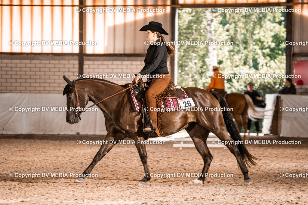 ZH100318 | dv-media-shop - Realisiert mit Pictrs.com