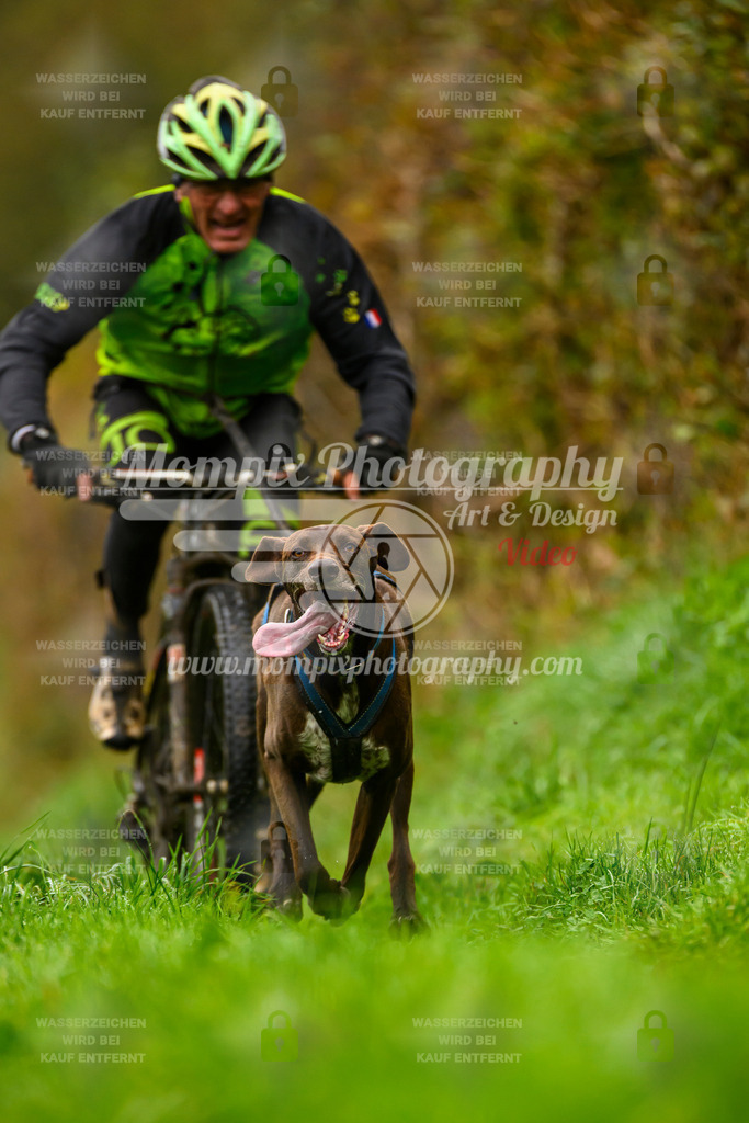 MompixPhotography_20TSB_E8_Bike-40 | PayLife