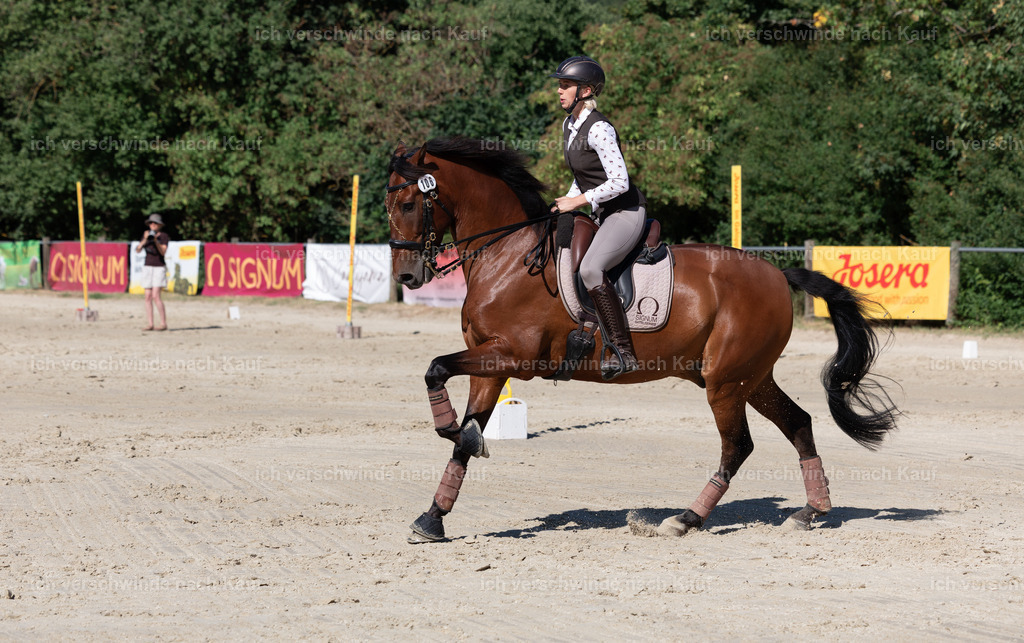 WL_Speed_106_KerstinBernhardt-12 | working equitationturnier fotograf videograf stoibphotography marixx film working equitation deutschland reitsport turnierfotografie eventfotografie equestrian events