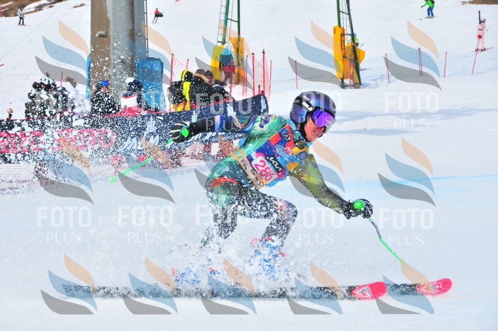 DSC_6416 | holidayphoto