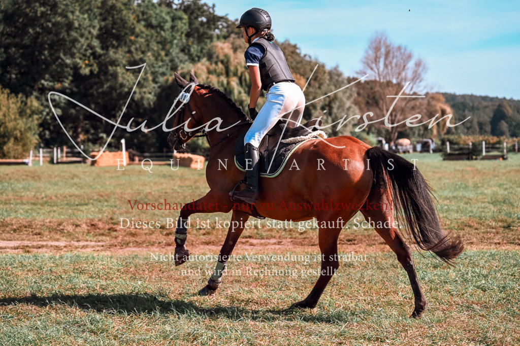 DSC_0961 | Pferde- und Turnierfotografie in Westsachsen. Pferdeportraits, Auftragszeichnungen und intuitive Kunst.