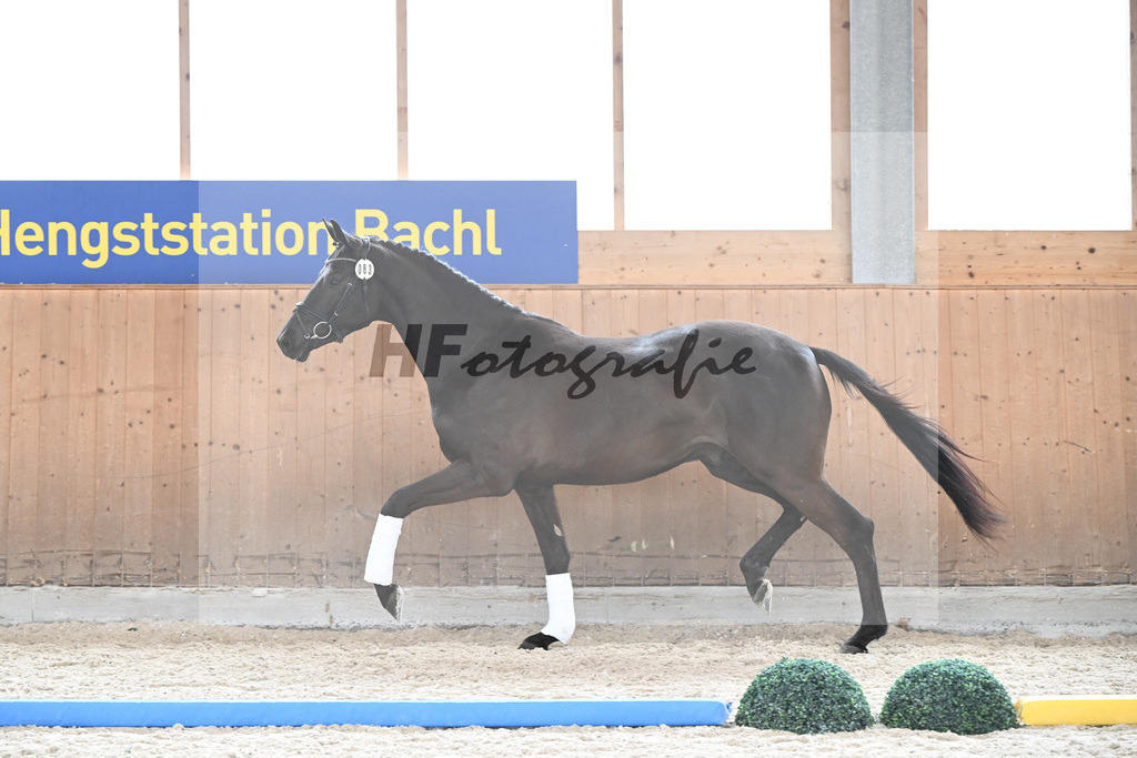 Kat-Nr. 83 Midnight v. Millennium_Paintmayer_7241186 | hf-fotografie - Realizzato con Pictrs.com