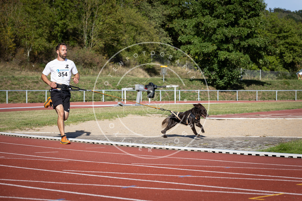Pfotenfotografie_DV3A9584 | Hundefotografie, Tierfotograf, Pfotenfotografie, Fotoshooting Hund, Hunde Portrait, Hundesport, Hundeportraits, Heideshooting, Hunde, Sportfotograf, Hundefotograf, Turnierhundsport, THS,  - Realisiert mit Pictrs.com