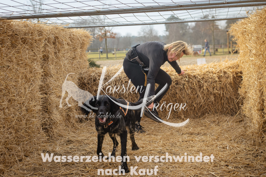 1030_ZZ95560 | kk-dogfotos