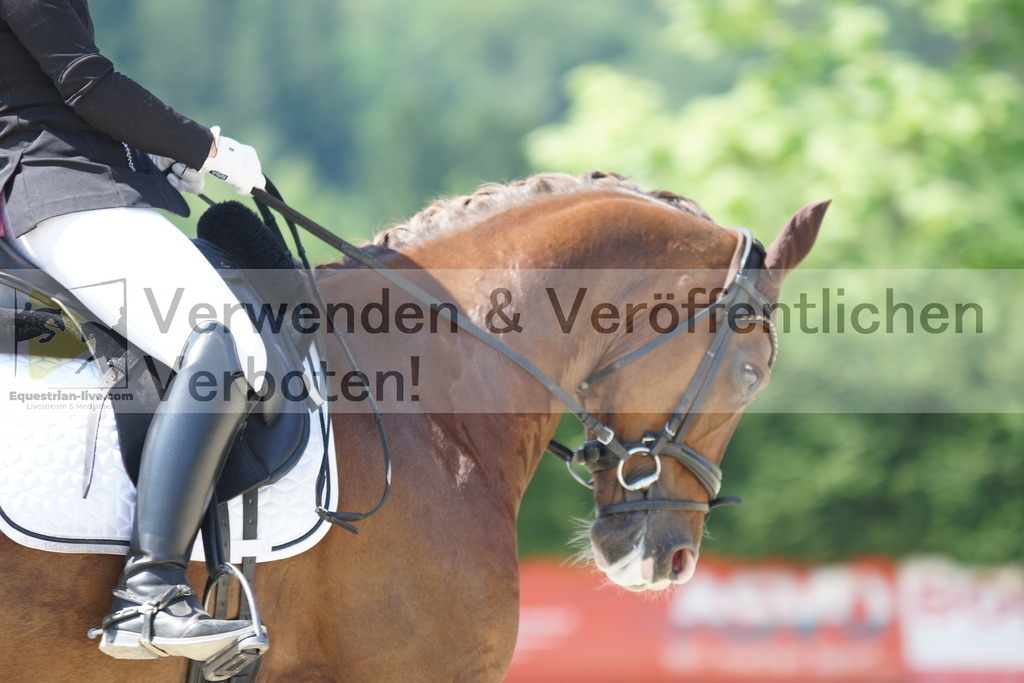 DSC02286 | equestrian-live-com
