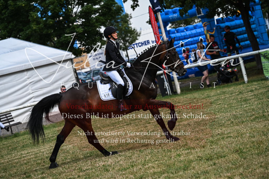DSC_8309 | Pferde- und Turnierfotografie in Westsachsen. Pferdeportraits, Auftragszeichnungen und intuitive Kunst.