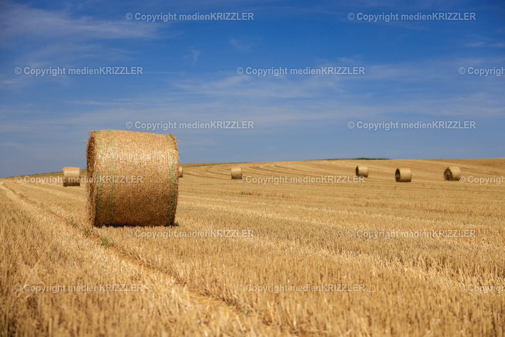 _J3A8132 | medienkrizzler - Realisiert mit Pictrs.com