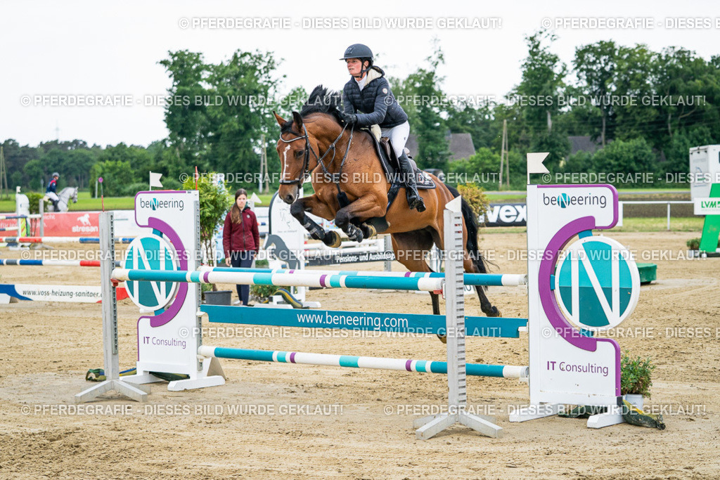 DSC05736 | Pferdegrafie