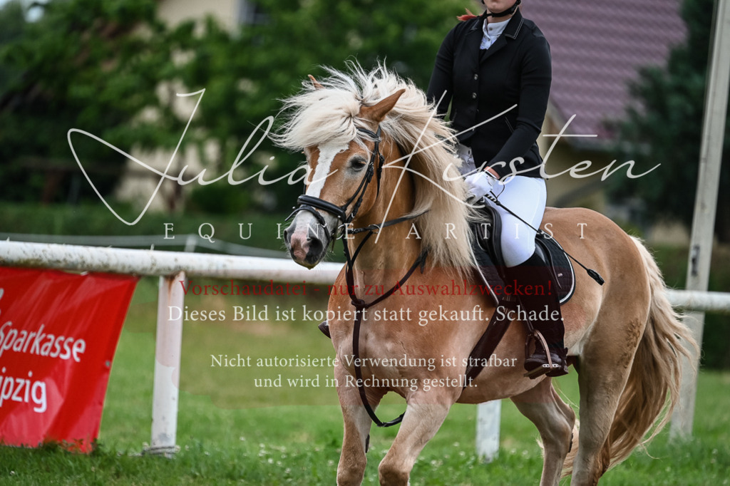 DSC_8418 | Pferde- und Turnierfotografie in Westsachsen. Pferdeportraits, Auftragszeichnungen und intuitive Kunst.