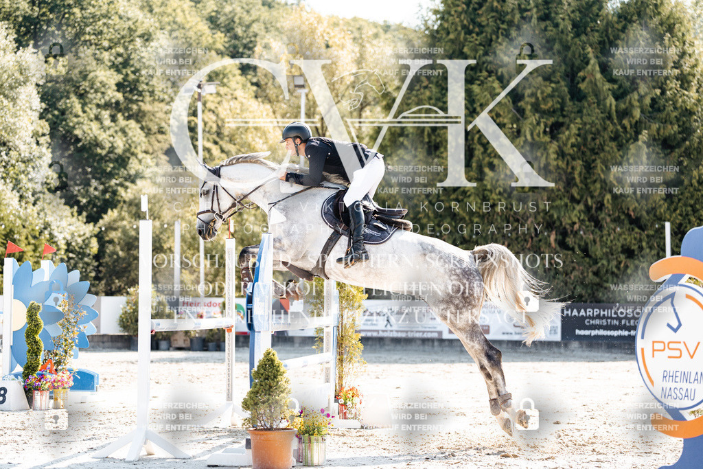 CK902364 | Turnierfotografie Pferdefotografie Trier Rheinland-Pfalz Pferdesport Reitsport Tierfotografie Sportfotografie Pferdevideo Pferdevideografie Equestrianvideography equestrianphotography  - Realisiert mit Pictrs.com