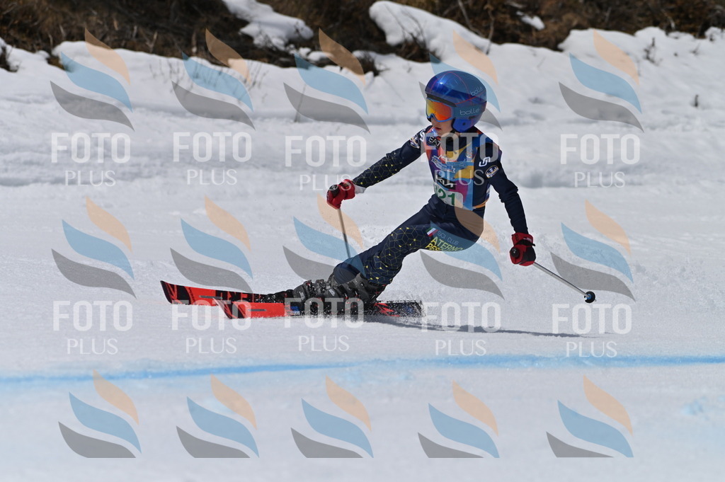 BGV_6356 | holidayphoto