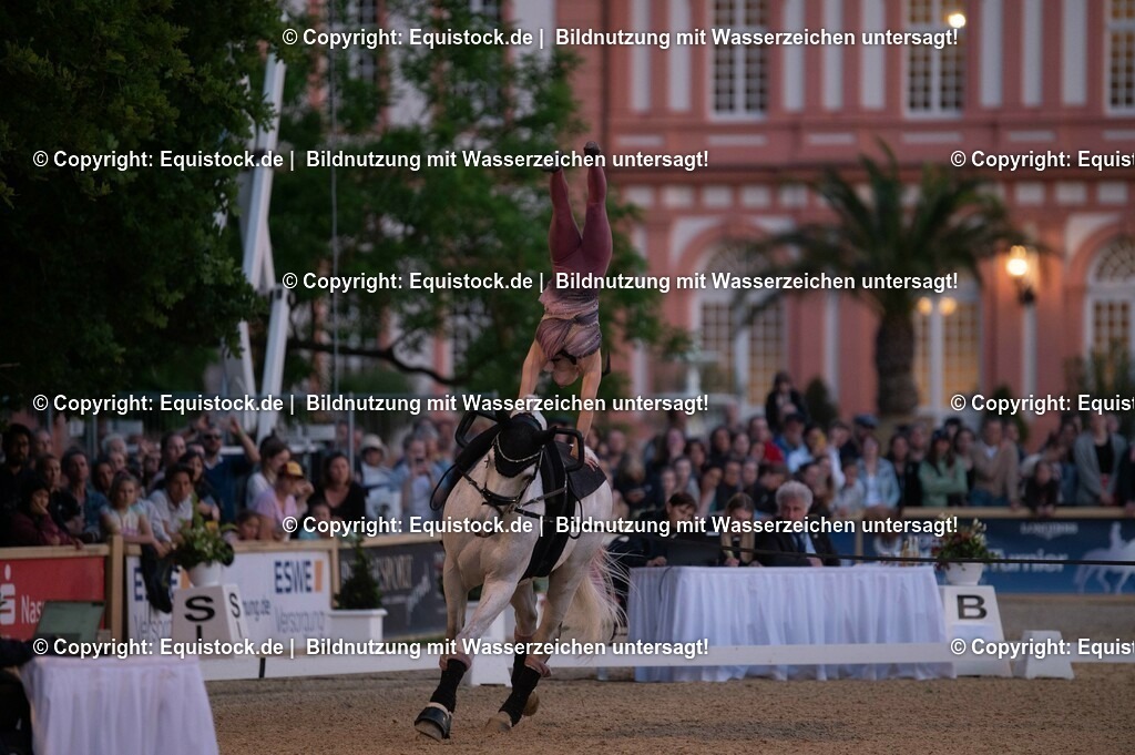 20230527_Voltigieren_NASPA_Flutlicht_0366 | equistock