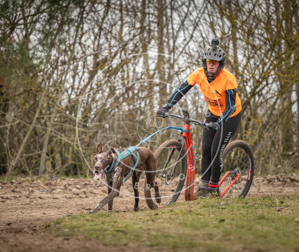 Pfotenfotografie_DV3A9783 | Hundefotografie, Tierfotograf, Pfotenfotografie, Fotoshooting Hund, Hunde Portrait, Hundesport, Hundeportraits, Heideshooting, Hunde, Sportfotograf, Hundefotograf, Turnierhundsport, THS,  - Realisiert mit Pictrs.com
