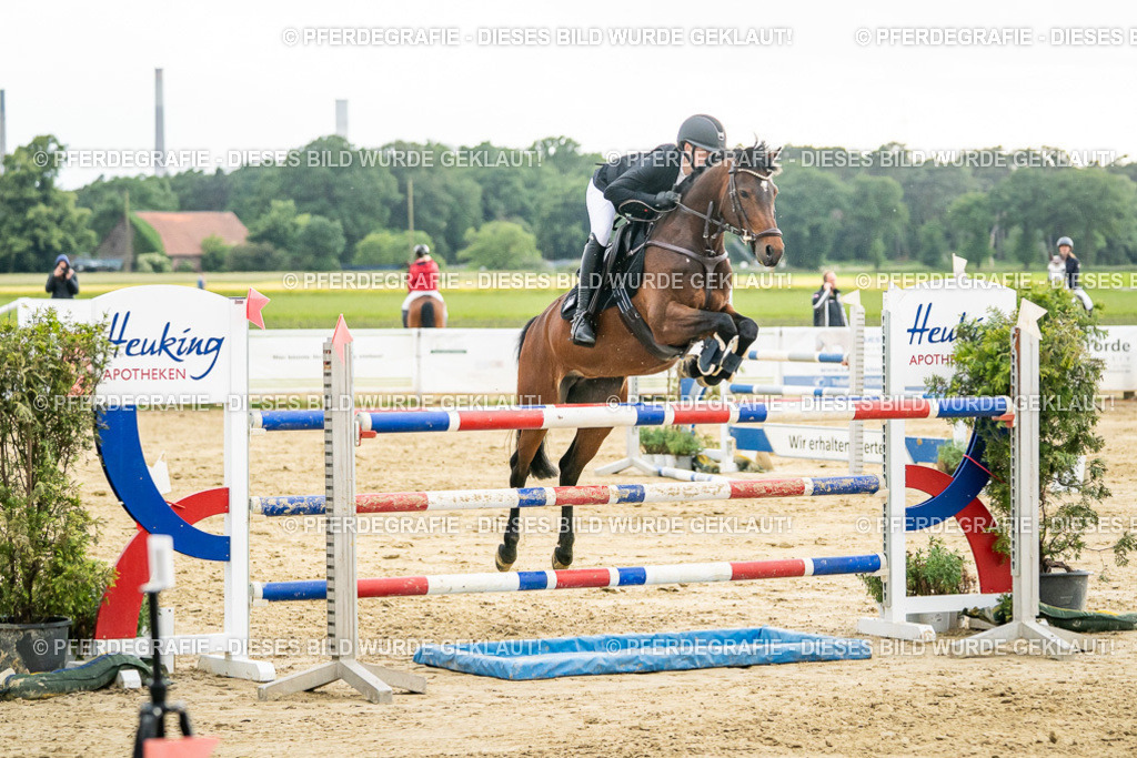 DSC07179 | Pferdegrafie