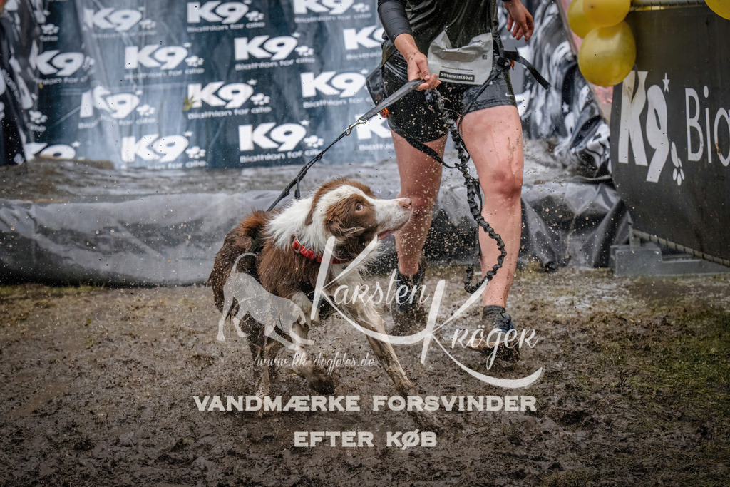 1245_ZZ90499 | kk-dogfotos