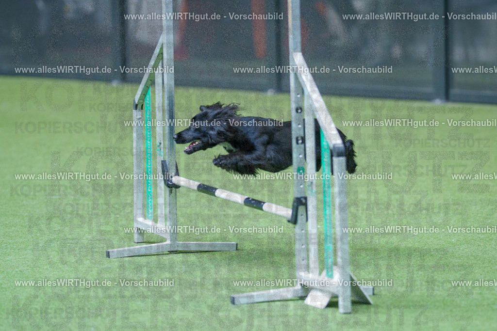 @allesWIRTHgut_Tierfotografie - www.allesWIRTHgut.de - 2604251555-7R506469 | Professionelle Tierfotografie in Mönchengladbach von Daniel Wirth (allesWIRTHgut). Liebevolle & natürliche Bilder von Hunden & Katzen für unvergessliche Erinnerungen.