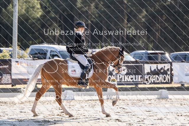 LR261_SD_04701 | saradresslerfotografie - Realisiert mit Pictrs.com