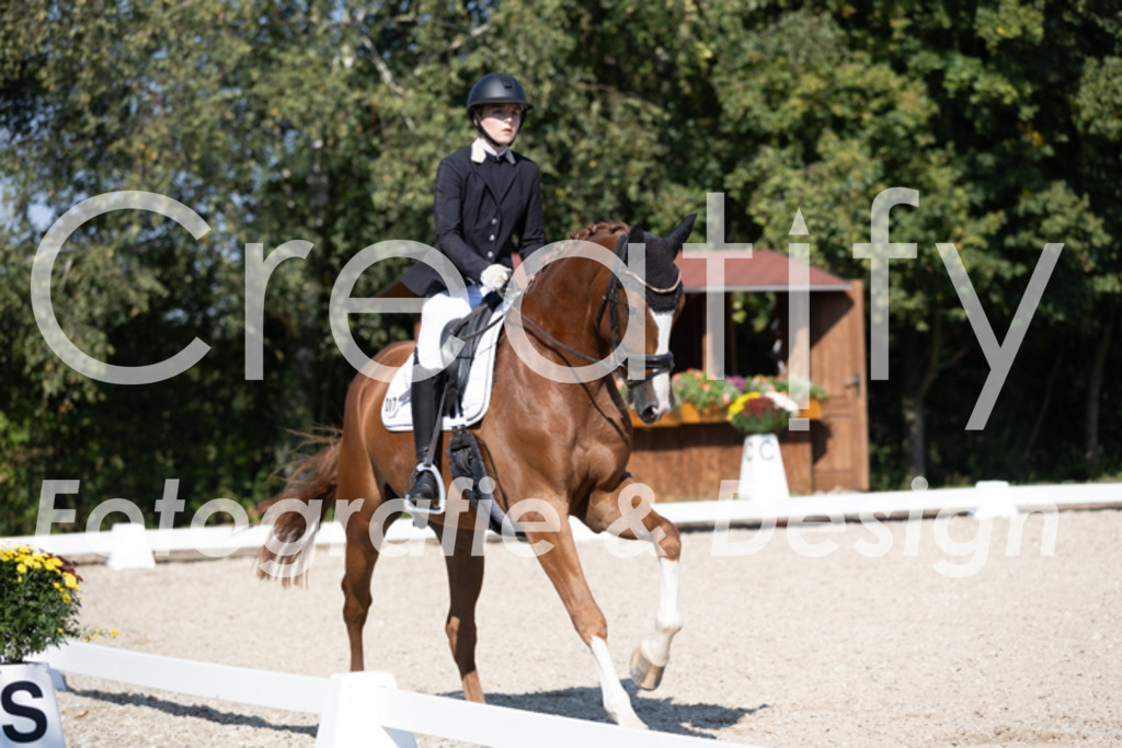 IMG_5562 | Creatify Fotografie