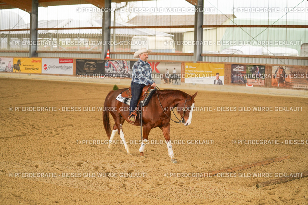 DSC04090 | Pferdegrafie