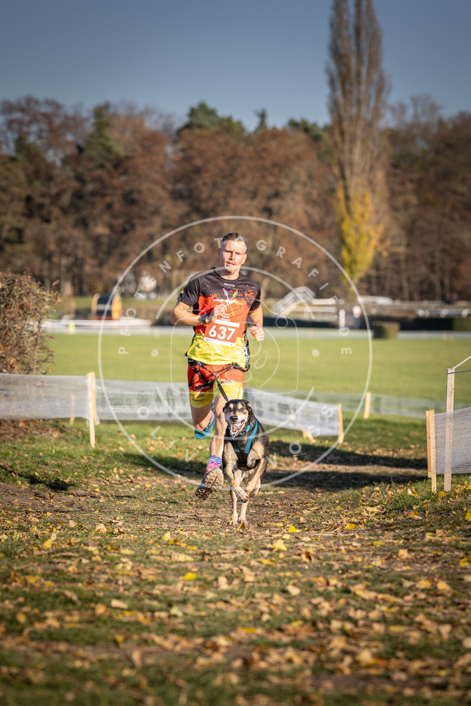 CaniXpix_DV3A0234 | Hundefotografie, Tierfotograf, Pfotenfotografie, Fotoshooting Hund, Hunde Portrait, Hundesport, Hundeportraits, Heideshooting, Hunde, Sportfotograf, Hundefotograf, Turnierhundsport, THS,  - Realisiert mit Pictrs.com