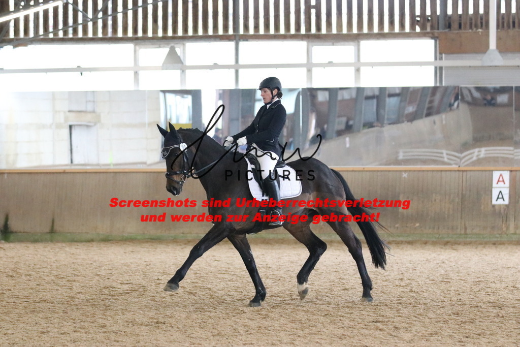 IMG_8384 | lmwpictures - Realisiert mit Pictrs.com