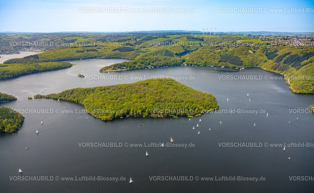 Heimrath240501816Rursee | Luftbild, Rursee mit Insel Eichert, Rurtalsperre Schwammenauel und Rursee-Schifffahrt mit Segelbooten, Waldgebiet Hügel und Täler, Nationalpark Eifel, Hasenfeld, Heimbach, Nordrhein-Westfalen, Deutschland