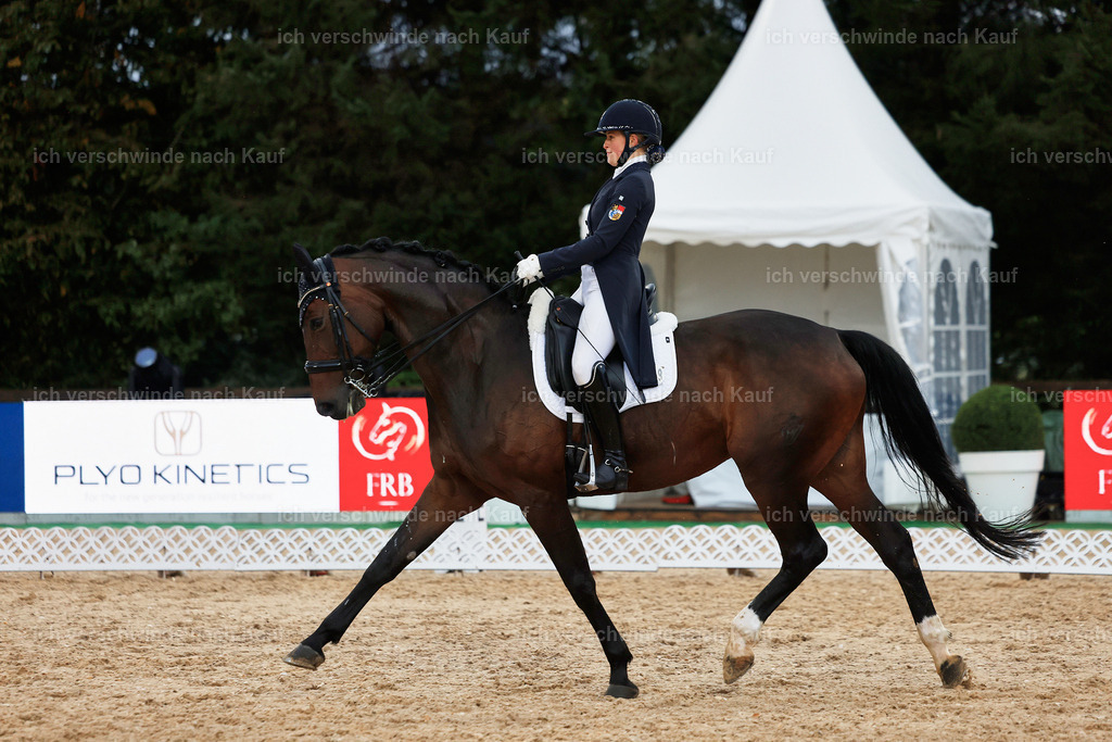 8_2-198-DRESSUR S_  -StoibPH-4545 | working equitationturnier fotograf videograf stoibphotography marixx film working equitation deutschland reitsport turnierfotografie eventfotografie equestrian events
