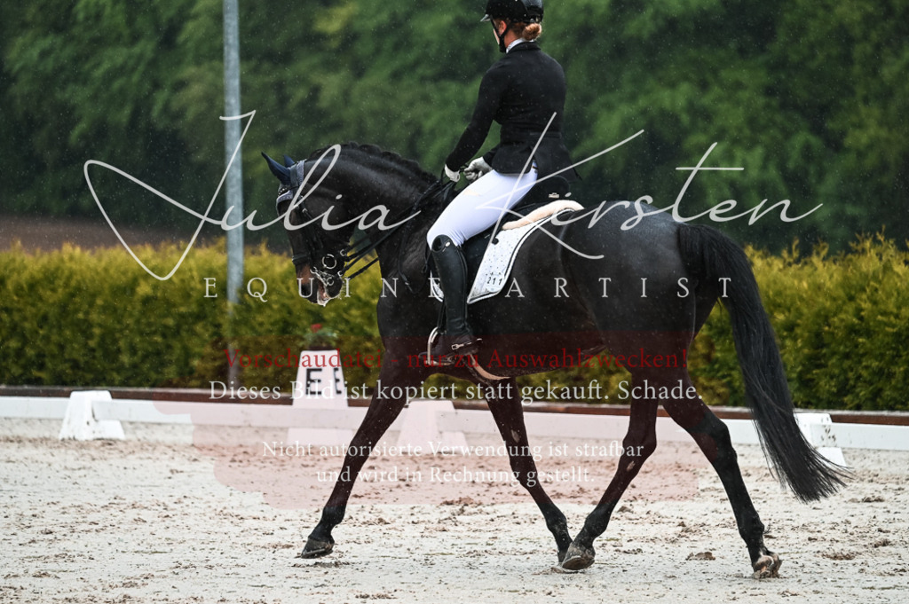 DSC_4497 | Pferde- und Turnierfotografie in Westsachsen. Pferdeportraits, Auftragszeichnungen und intuitive Kunst.