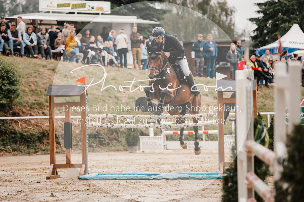 3I6A2154 | Stimmungsvolle Portraits und Reitsportfotografie im Ruhrgebiet und im Münsterland.

Pferdefotografie, Hundefotografie, Tierfotografie, Reportagen, Portraits von Tier und Mensch, Turnierfotografie in Bochum, Recklinghausen, Marl, Haltern am See, Dülmen.. - Realisiert mit Pictrs.com