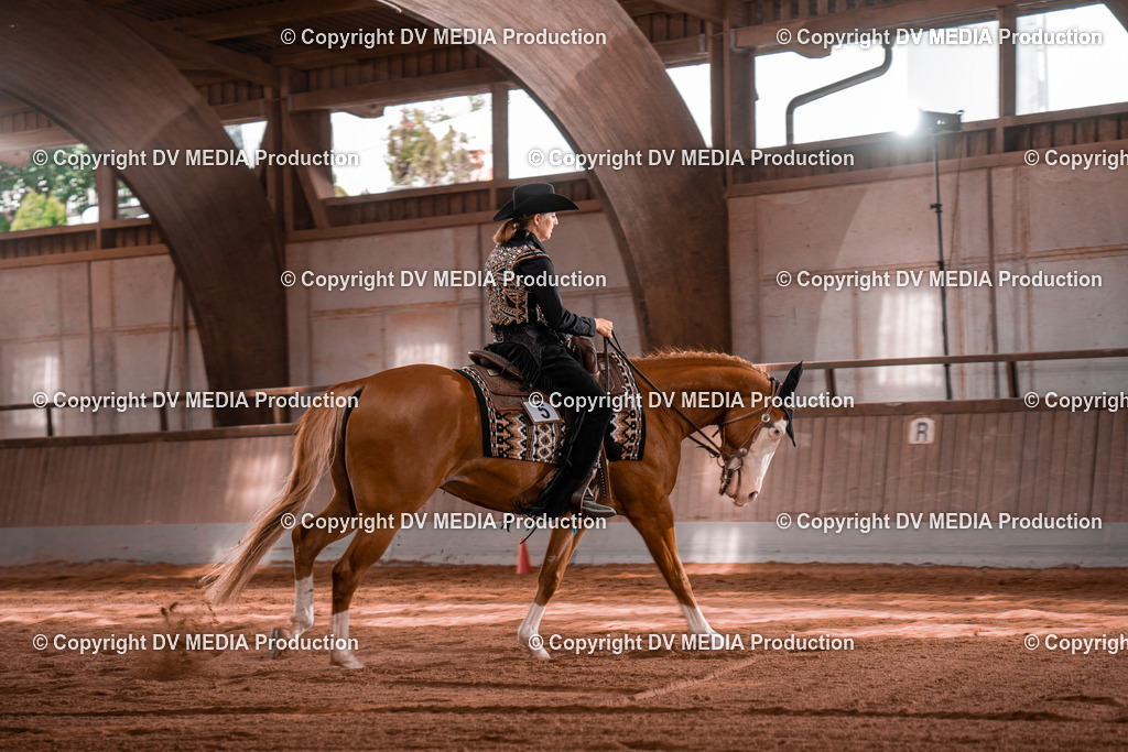 NE100360 | dv-media-shop - Realisiert mit Pictrs.com