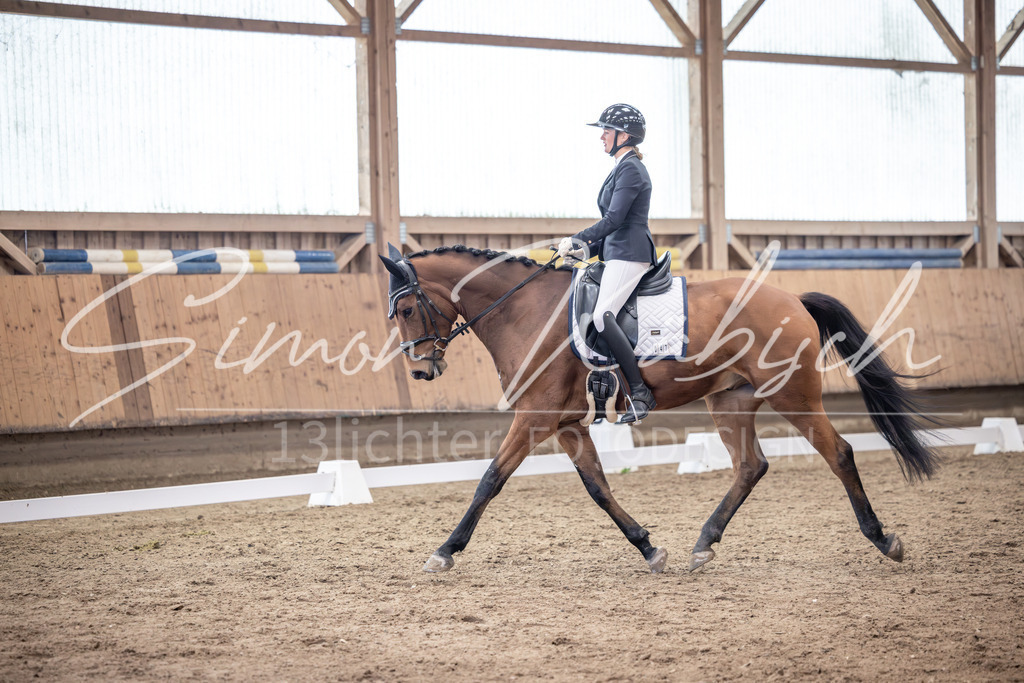 20251011-_3LI0235 | Tierfotografie Pferde, Hunde, Katzen, Haustiere.
Turnierfotografie Reitturniere, Reiten, Springreiten, Dressur in Hanau, dem Main-Kinzig-Kreis und dem Rhein-Main- Gebiet um Frankfurt