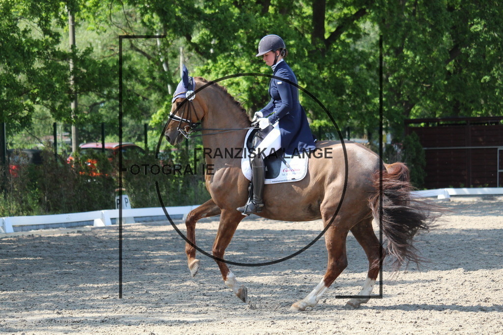 IMG_5201 | franziskalange - Realisiert mit Pictrs.com