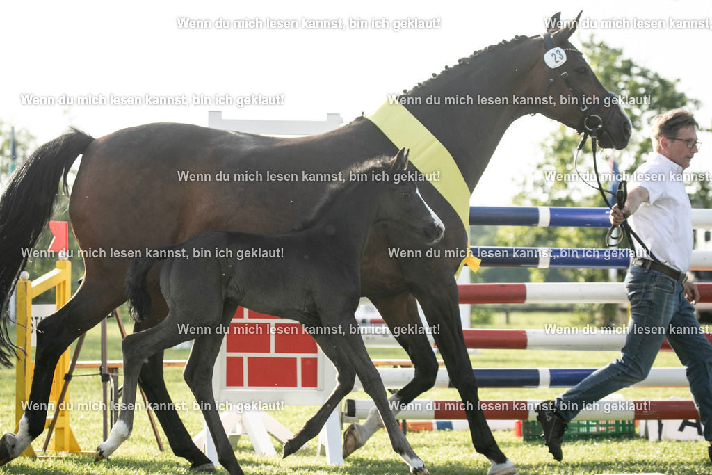 598A7537 | photographylinaismer - Realisiert mit Pictrs.com