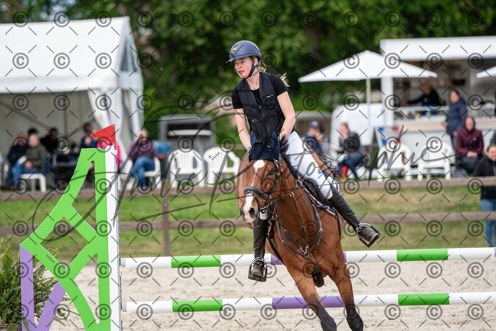 KPT_7237 | andre_photographic