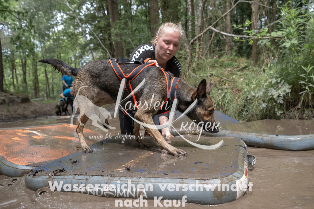 1331_ZZ94349 | kk-dogfotos