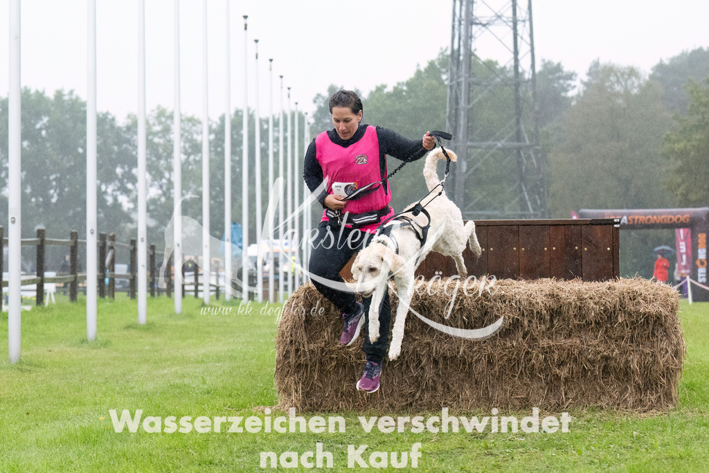 0936-_ZZ94196-Bearbeitet | kk-dogfotos